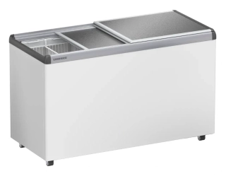 EFE 4600